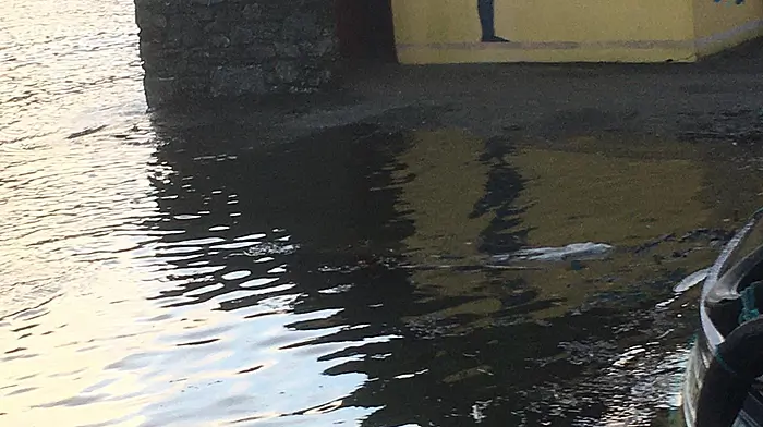 Wind and sea surge warnings issued for coastal areas Image
