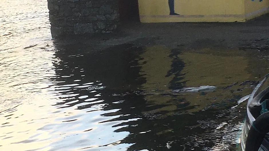 Wind and sea surge warnings issued for coastal areas Image
