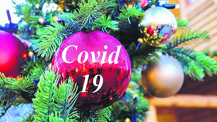 DIARY OF A DEMENTED HOME WORKER:  Our goose is really cooked this Christmas Image