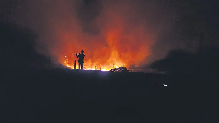 Reader’s Picture of the Week Image