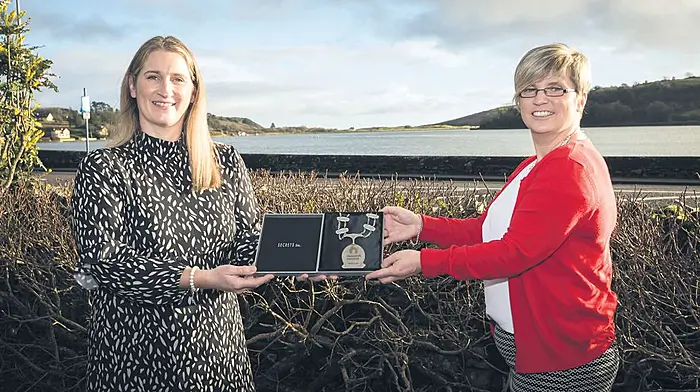 Finalists announced for Network Ireland West Cork’s awards Image