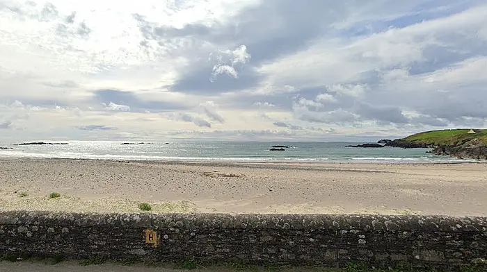 Board turns down coastal houses plan Image