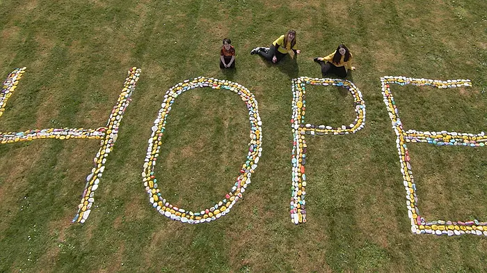 Rocks of Hope to line Kinsale Darkness into Light parade Image
