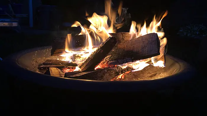 Sea-swimming, the hit series, Schitt’s Creek and family nights spent around the fire pit at the bottom of the garden were what got Dermot through the challenges of the past year.