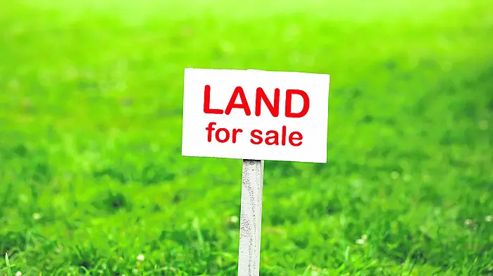 Average price for an acre of ‘good’  Co Cork land last year was €11,100 Image