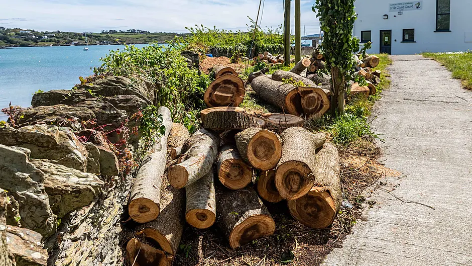Trees felled ‘to improve view’ for holiday homes Image