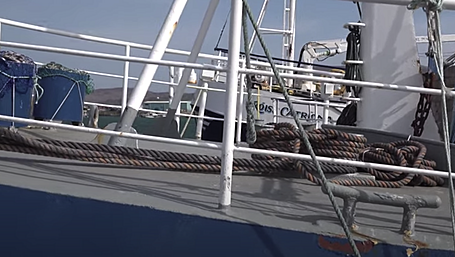 WATCH: Fisherman's wife Catherine Turner speaks up for Irish fishing families Image