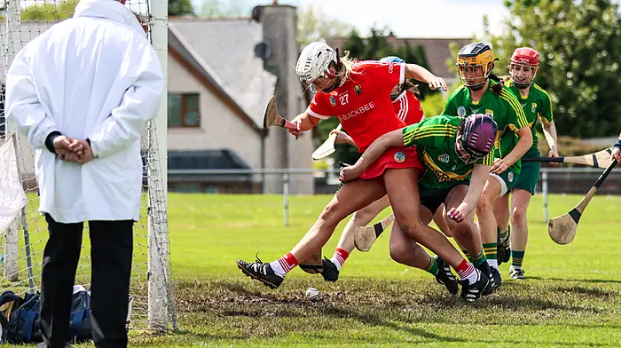 Cork star Ali lands knockout blow against Kerry Image