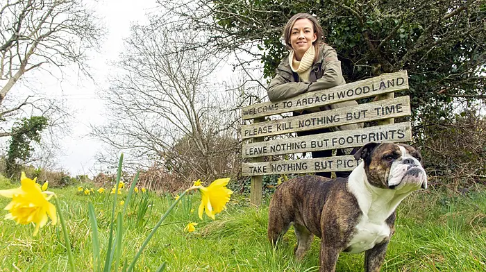 Holly to judge cutest pet competition Image
