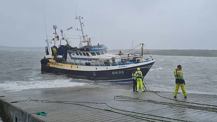 Fishing vessel breaks its moorings in Baltimore Image