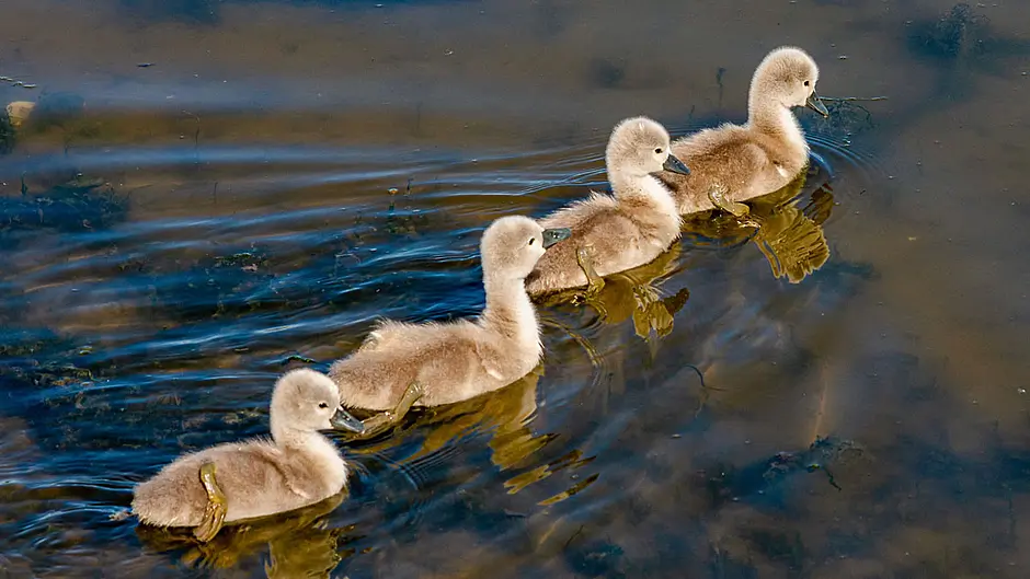 READER'S PICTURE OF THE WEEK Image