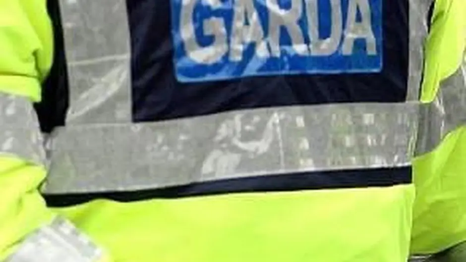 Man arrested after theft of machinery and livestock in West Cork Image