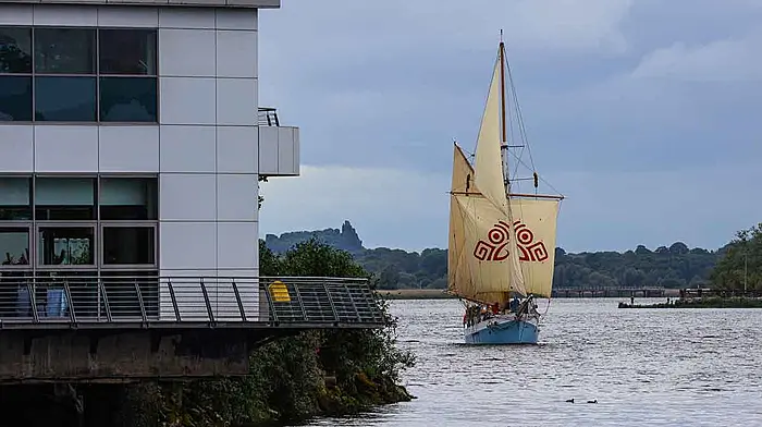 WOODEN IT BE NICE Ilen delivers climate message Image