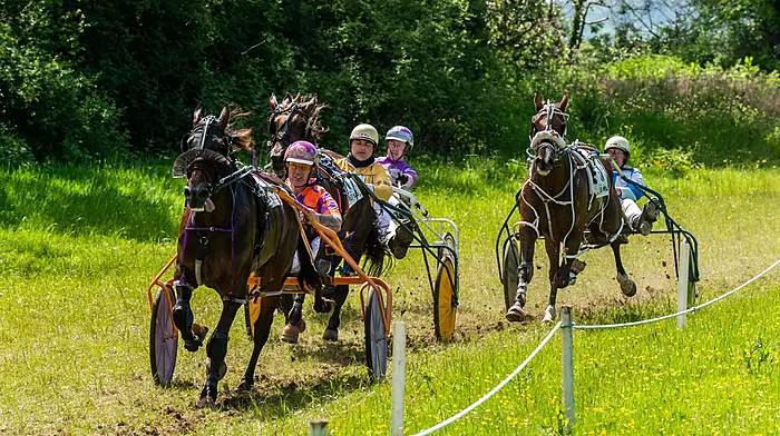 Goleen and Florida bask in success at Dunmanway races Image