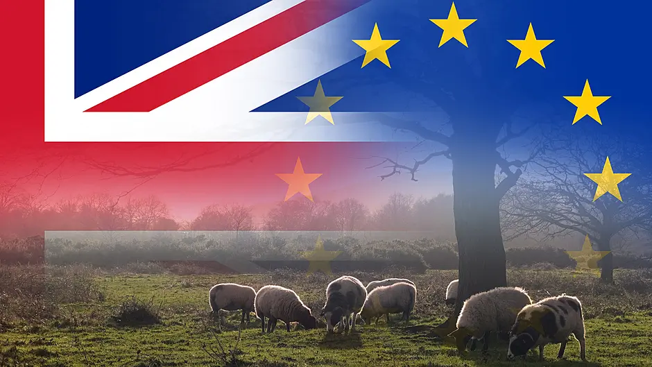 FDC: Brexit fallout means Asia is a new option Image