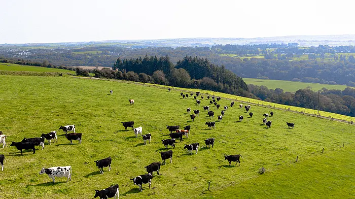 Funding of €2m for Carbery’s Farm Zero C Image