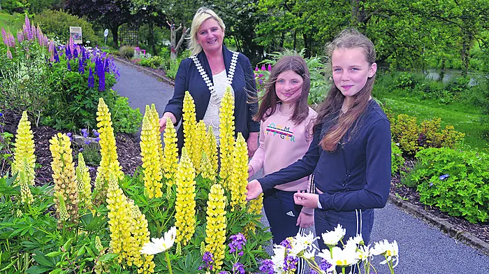 Heritage Trail ready to provide tourism boost Image