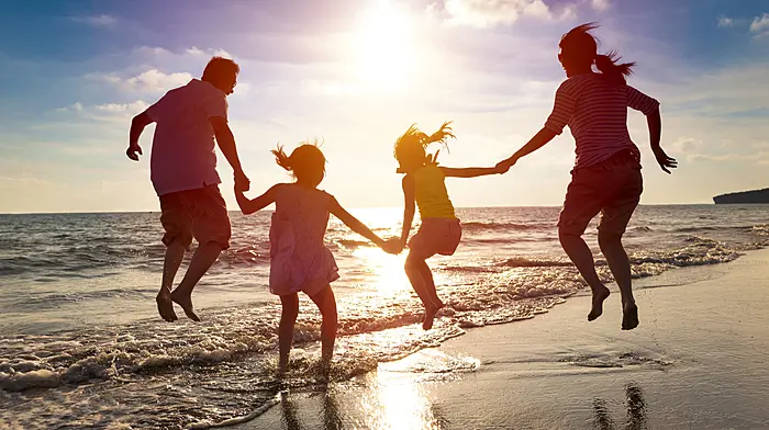 DIARY OF A DEMENTED HOME WORKER: How to survive a West Cork summer Image