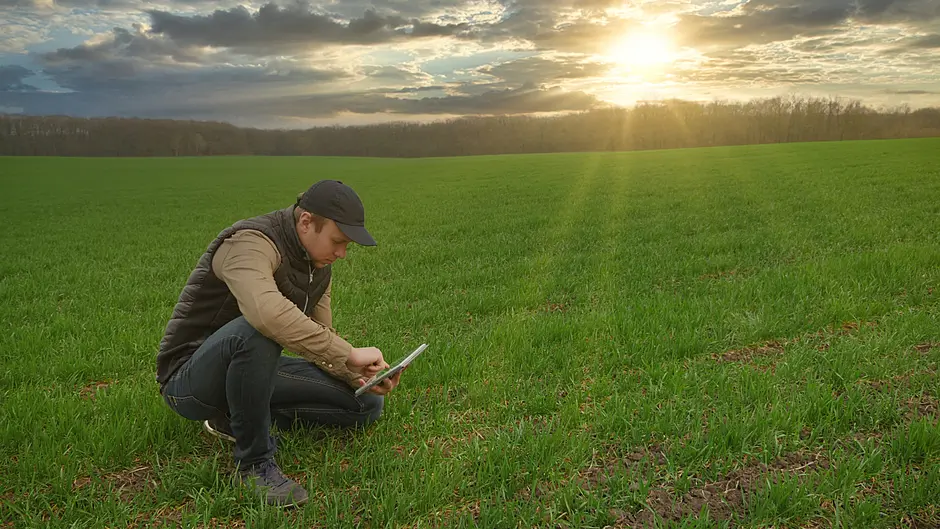 Now is the optimum time to get control of those grass weeds Image