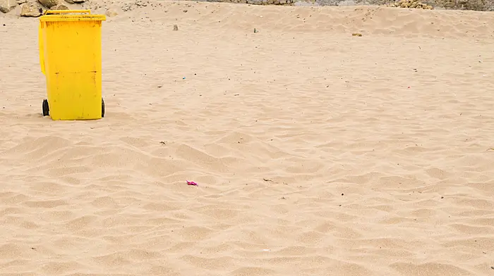 Bins are back at beaches in Council u-turn Image
