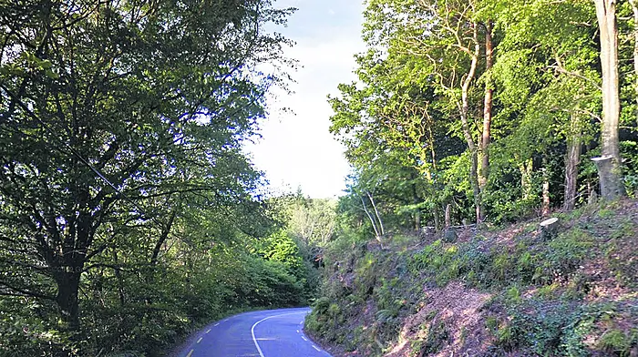 Firm ‘going around bend’ over corner Image
