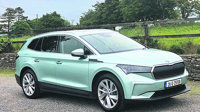 Car of the week: Skoda’s electric Enyaq is quietly cool Image