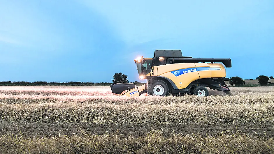 INCH BY INCH! Working the land Image