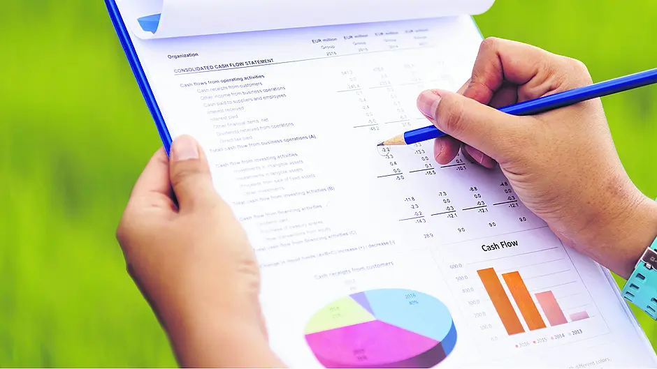 Annual accounts vital for clear idea of farm’s financial health Image
