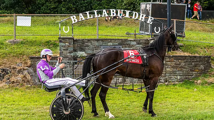 Kelleher drives double for Leap-based trainer John Shanahan Image