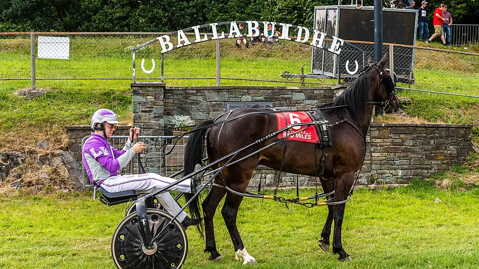 Kelleher drives double for Leap-based trainer John Shanahan Image