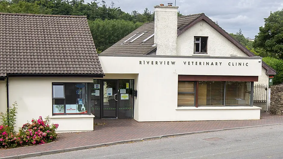 Riverview Veterinary Group: Celebrating 75 years serving the people of West Cork Image