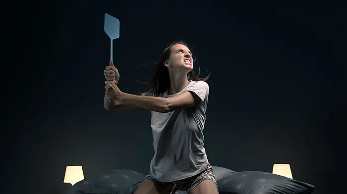 DIARY OF A DEMENTED HOME WORKER: Just me or is summer ‘fly’ing by way too fast? Image