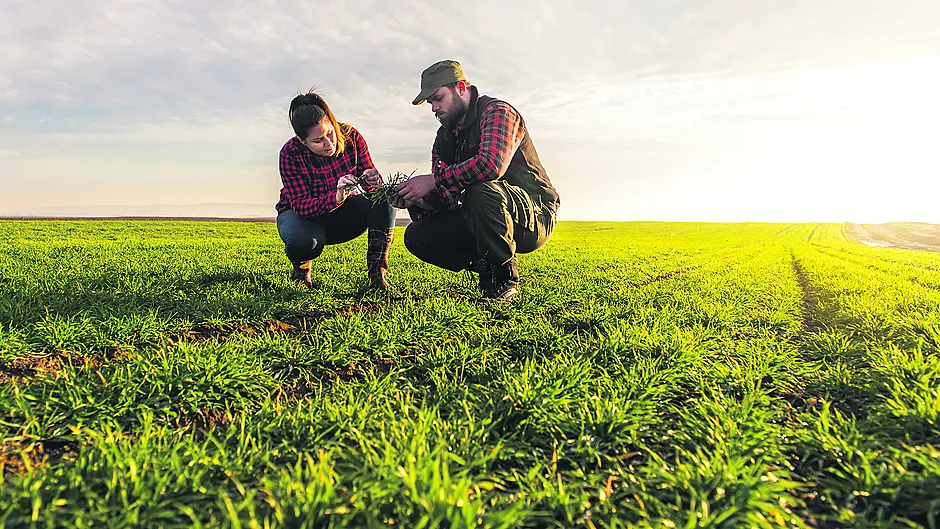 TEAGASC: Grass is the cheapest feed with low carbon footprint - so build supplies Image
