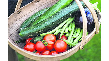 Gardening: Harvest crops every other day Image