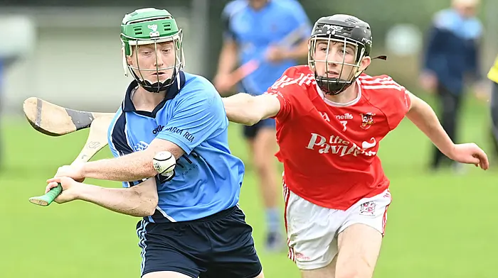 Barryroe hurlers have ground to make up after opening loss Image