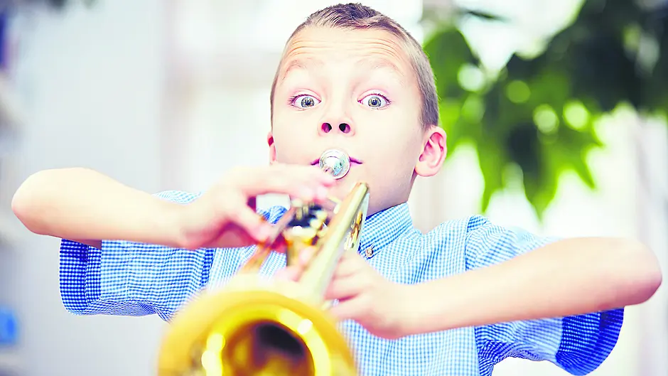 DIARY OF A DEMENTED HOME WORKER: Hit the right note with hobbies Image