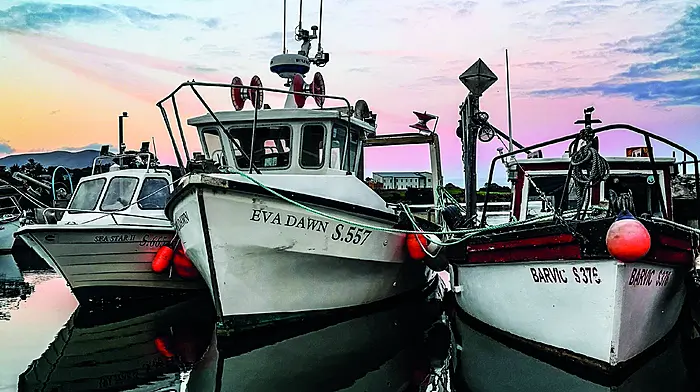 Reader’s Picture of the Week Image