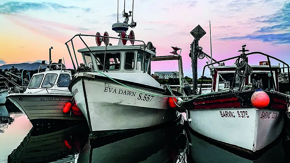 Reader’s Picture of the Week Image