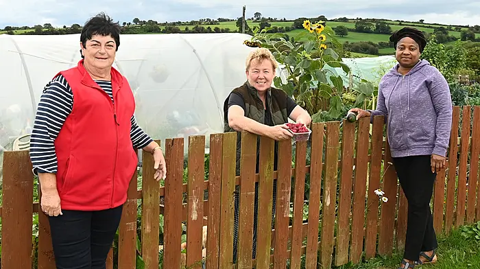 Bandon community allotments want to put down some permanent roots Image
