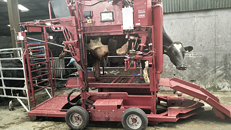 Direct and indirect effects of lameness on a dairy farm Image