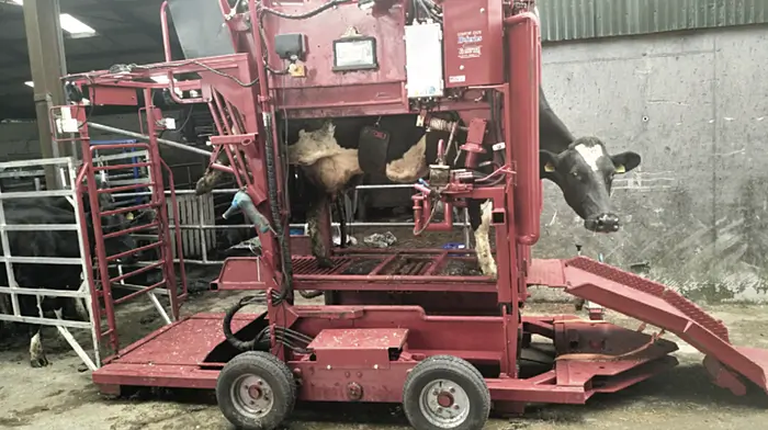 Direct and indirect effects of lameness on a dairy farm Image