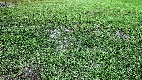 WCL clubs to discuss introduction of a winter break Image
