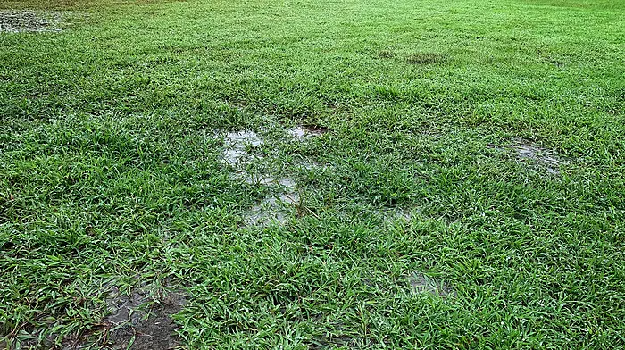 WCL clubs to discuss introduction of a winter break Image