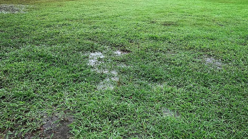 WCL clubs to discuss introduction of a winter break Image