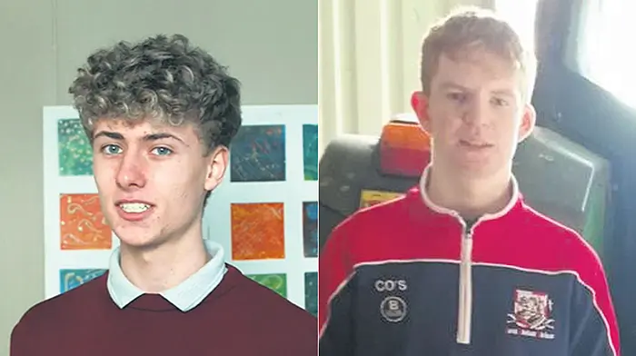 Bandon and Beara students among award winners Image
