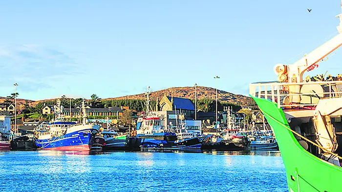 O’Sullivan happy that minister agreed to request for fisheries taskforce Image