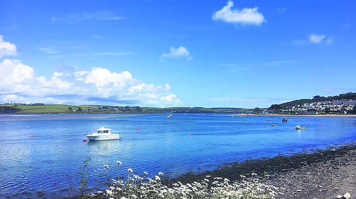 Build-up of anger over Courtmac silt Image