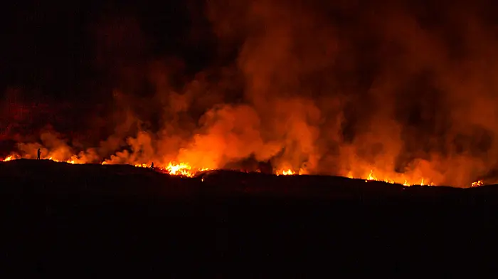 Farmers seeking one more month of burning gorse due to poor early start Image