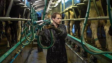 GEA Milking Parlor has many advantages Image