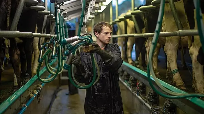 GEA Milking Parlor has many advantages Image